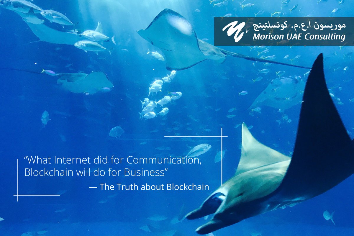 Kreston_Menon's tweet photo. Want to know more about #Blockchain in UAE? For any queries on #Blockchain Consulting, please mail to hemant@morisonmenon.com

#MorisonMenon #MorisonUAEConsulting #MorisonKSi #UAE #Dubai #UAEBlockchain #DubaiTrade https://t.co/pGPEE3GdIE