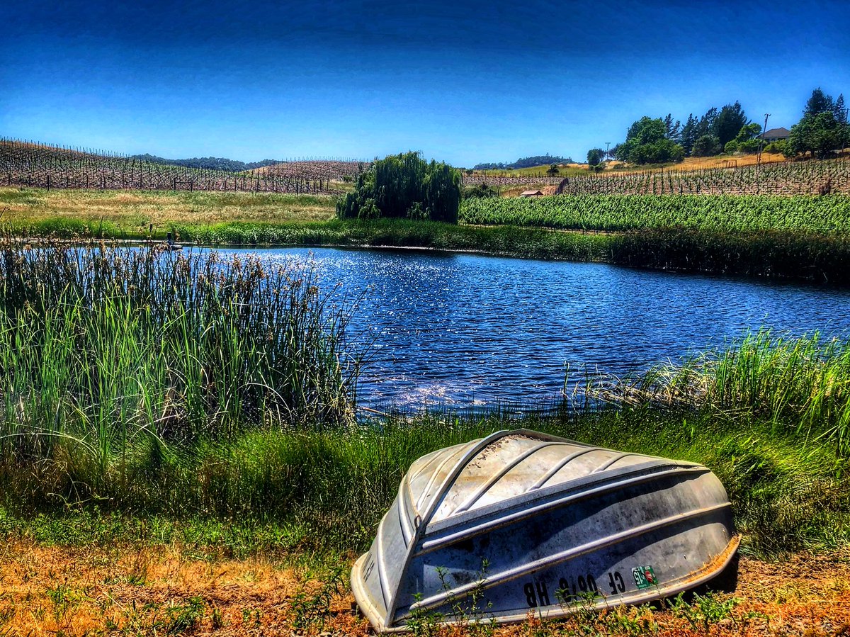 The boat ! #wakenwinetours will take you off the beaten path to show you the real wine Valleys . #comeridewithus and discover these #hiddengems