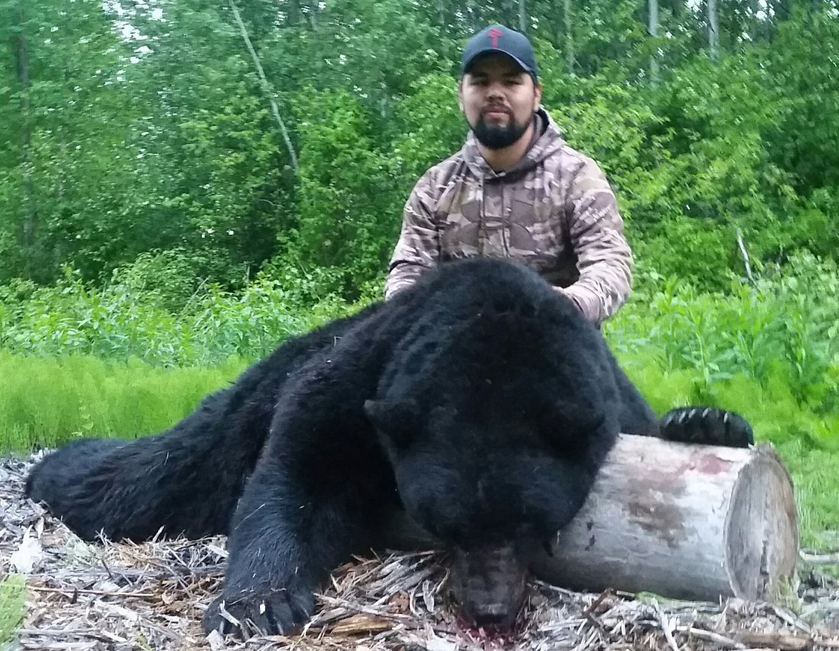 dubMunroe's tweet photo. #nisgaaguideoutfitting #springblackbear #blackbear #hunting #BearDown #bruin https://t.co/RmSUqttzZb