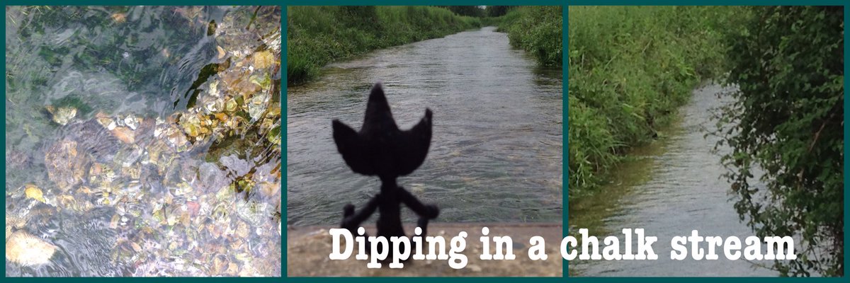 Attention2place's tweet photo. #30DaysWild
#placeassemblage of flow, chalk, flint, watercress, wide, shallow, gravel, alkaline, trout, clear water ... and Eric #placedetail #geofindspot https://t.co/p2ZdpuJ5V6