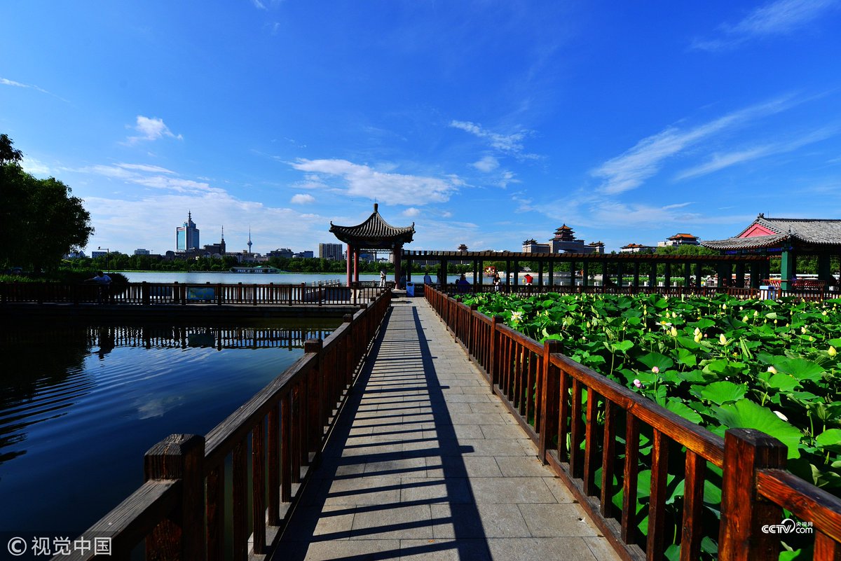 Cctv على تويتر 大美中國北京蓮花池公園映日荷花別樣紅 北京蓮花 池公園是一級古遺址公園 也是北京夏季觀賞荷花的著名景點之一 公園裡的荷花色彩多樣 品種繁多 形成接天蓮葉無窮碧 映日荷花別樣紅的美景