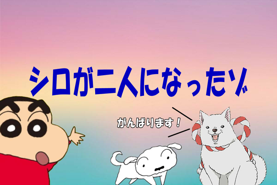 ドワッジ ２代目しんのすけ 小林由美子 鬼灯の冷徹 シロ役など これはつまり クレヨンしんちゃん 鬼灯の冷徹 T Co Z7ztgbr46f Twitter