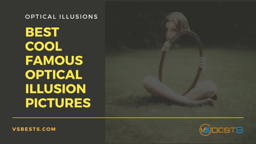 25+ Best Cool Famous Optical Illusion Pictures - VSBests buff.ly/2sW7sRX