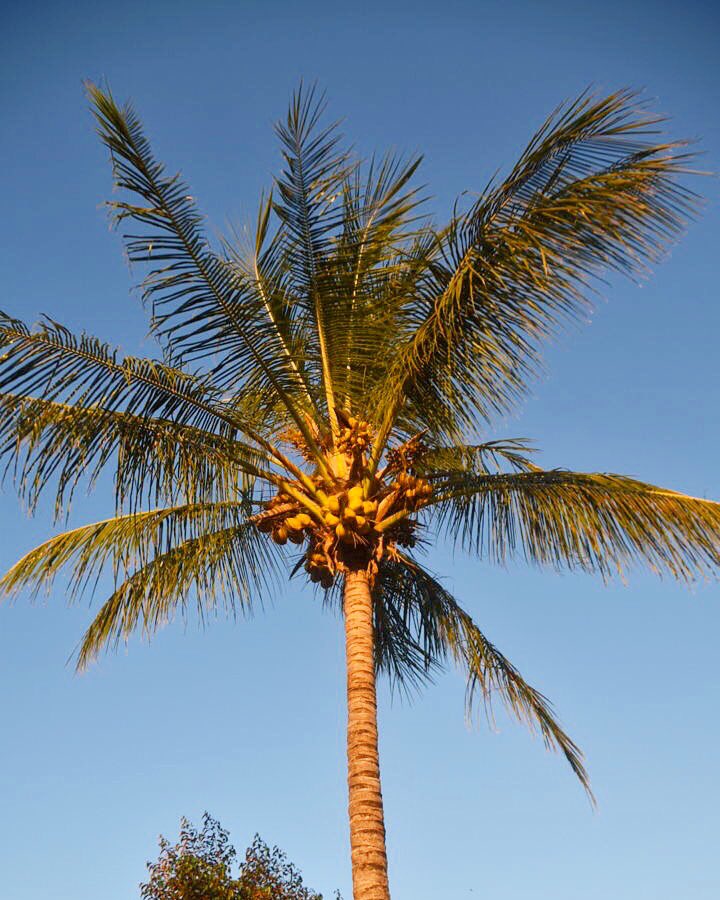 two_tall_travel's tweet image. No, we aren’t at the #beach. Yes, we are still stuck in a town with a population of 400 whilst waiting for our car to be fixed 😭

#needtogetout #roadtrip #queensland