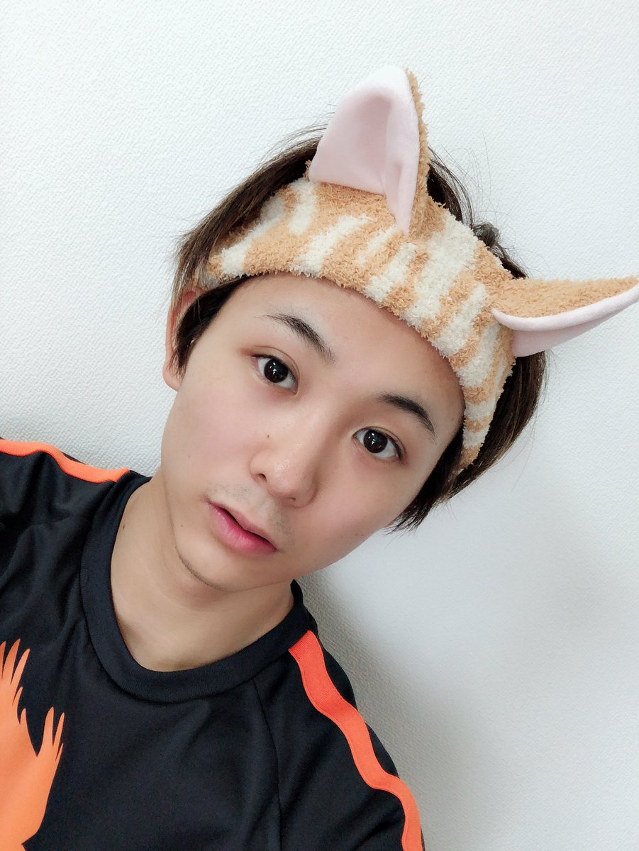 須賀健太 ひげねこ