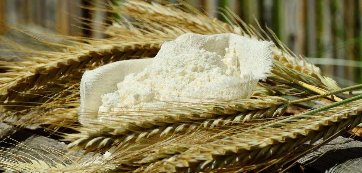 IT_S_TUSCANY's tweet photo. Vuoi scoprire il cuore autentico e genuino della #Garfagnana?
L'azienda agricola #IlGrillo propone le tipicità del territorio, con la possibilità di degustare le ricette presso il ristorante agrituristico.
Scopri i sapori Toscani su #ItsTuscany
https://t.co/fMwbsQtwOG https://t.co/DitEd6o1VT
