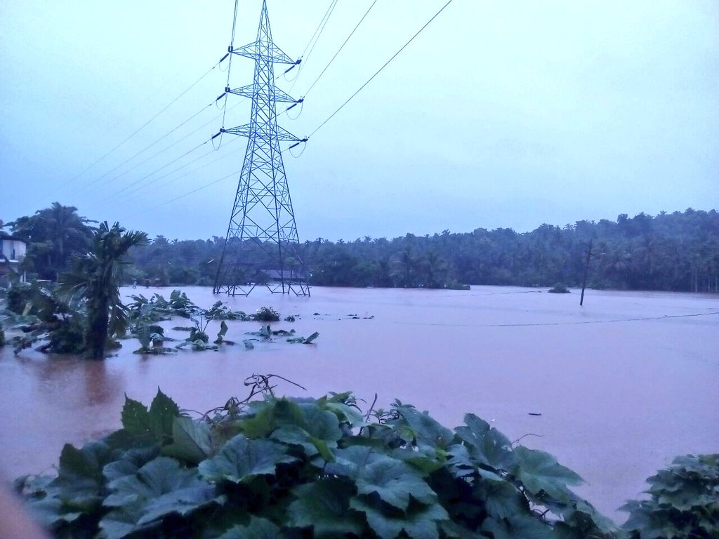 DivzArjun's tweet photo. #MyVillage ♥️
Heavy Rain & Roads flooded .
Got some pics through WhatsApp
#MissingRain #MissingVillage https://t.co/CfswMQ8EYo
