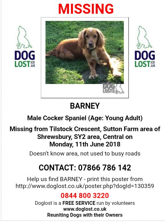 MissingPetsGB's tweet photo. #Shrewsbury area - @NWDogRescue
🐶 #MISSING 11/6/18:
BARNEY
Male Cocker Spaniel
#SuttonFarm area #Shrewsbury, Tilstock, Crescent, #SY2
Young Adult. Red.
❗Doesn’t know Area and not used to busy roads.❗
https://t.co/cvtu2JET3q https://t.co/7v2K4wpNAH