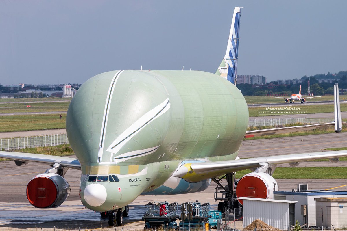 Frenchpainter's tweet image. First #Airbus #BelugaXL after washing yesterday. 🚿 #Cargo #Avgeeks #Airplane