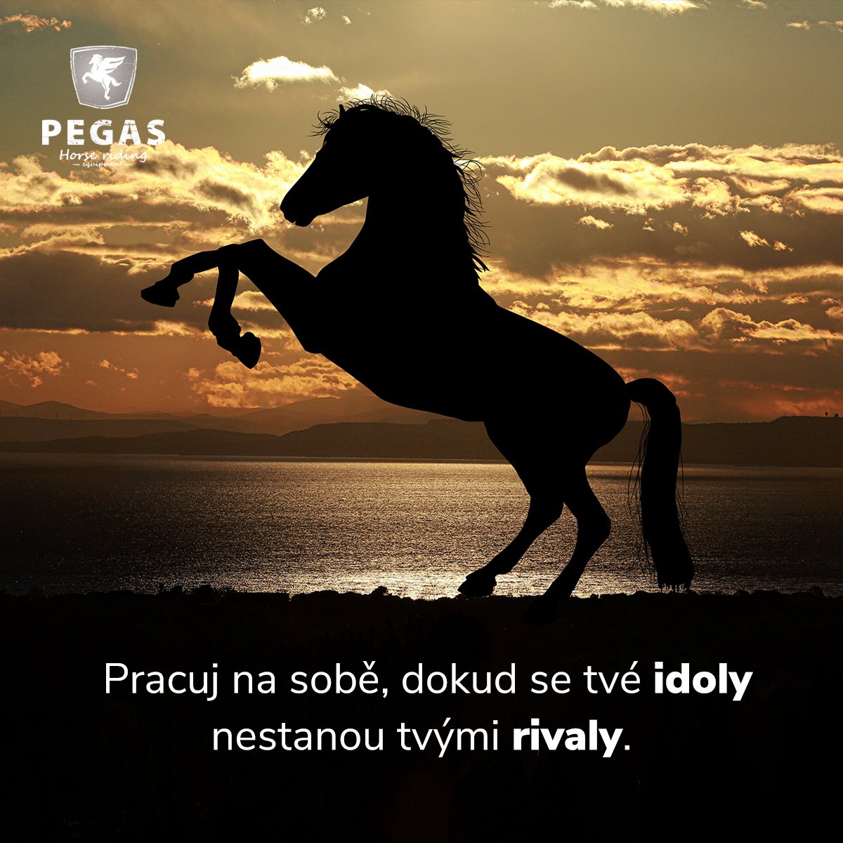 jezdectvi's tweet photo. "Pracuj na sobě, dokud se tvé idoly nestanou tvými rivaly."
#pegas #citaty #kone #prokone #projezdce #staje #milovnicikoni #milujukone #jezdeckepotrebypegas #jezdectvi #koně #jezdectvijemujzivotnistyl🐴 #jedunakoni #koňařky #koníci https://t.co/BOAVe1QuYv