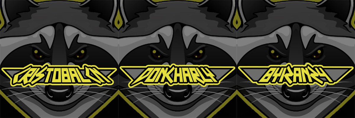 RaccoonseSports's tweet photo. Estamos a un solo paso de completar el team tras la ultima incorporación de nuestro jugador @cr13_ccn . Solo un jugador mas y estaremos listos para darle caña al competitivo del Call of duty !! Hasta el momento contamos con 2 Jugadores polivalentes y un smg. Ya no queda nada https://t.co/bS8CFYsQP8