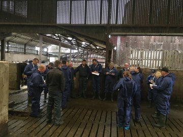 leemurray236's tweet photo. @CowSignals #rumenfill #dungscoring #fedonthompsons #nothernireland @ThompsonFeeds https://t.co/8A8uDc08sD