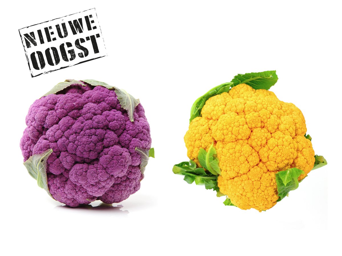 VroegopWindig's tweet photo. Met deze prachtige decoratieve bloemkolen creëer je heel makkelijk meer kleur op het bord. Heerlijk rauw in een salade en een hele goede vervanger voor rijst! https://t.co/gvQd42My5e