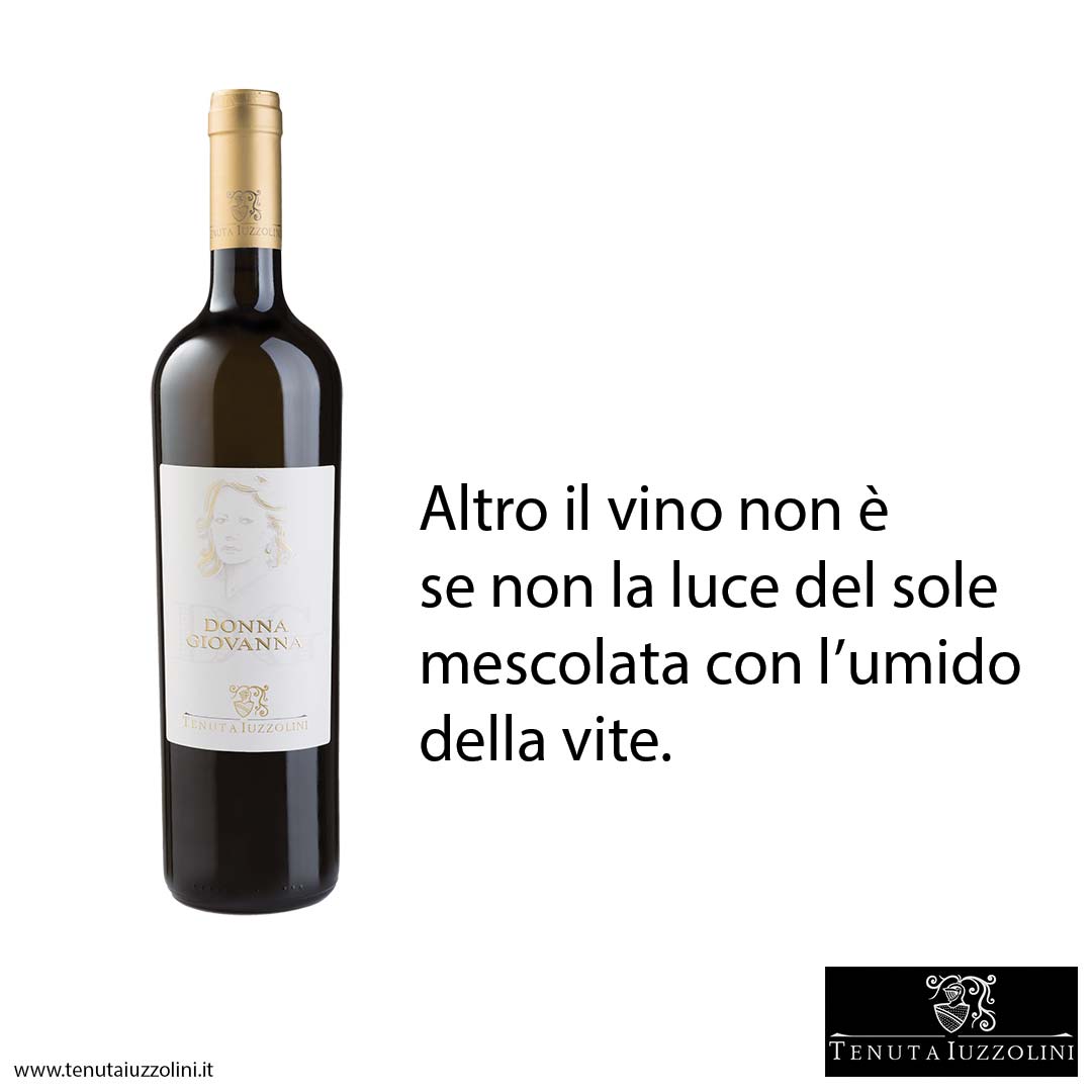 tenutaiuzzolini's tweet photo. Altro il vino non è se non la luce del sole mescolata con l’umido della vite.
(Galilei)

#tenutaiuzzolini #grandivinidicalabria #donnagiovanna #cirò #ciròmarina  #vinocirò #vinocalabrese https://t.co/041gKkGseh