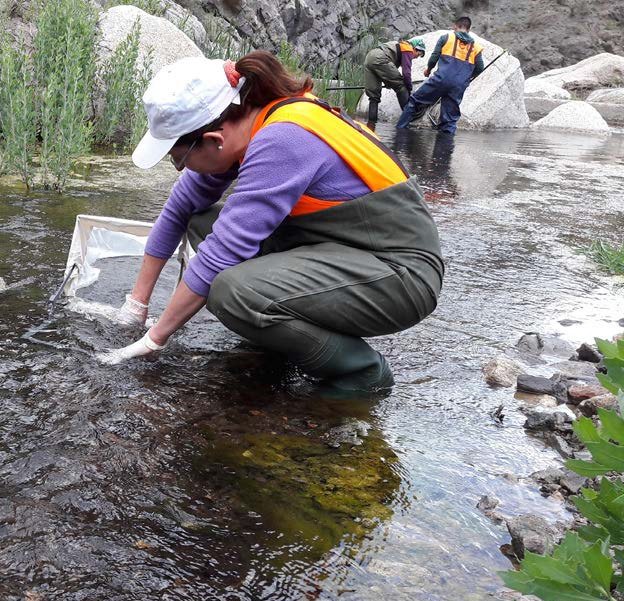 ProyectoMara's tweet photo. Compromiso con el #MedioAmbiente en #MineraAlumbrera: preservar la #Biodiversidad: https://t.co/nIJIXIymRR https://t.co/Hq967F9f5I