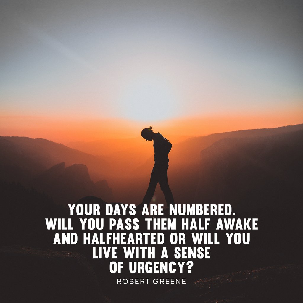 RobertGreene's tweet image. 