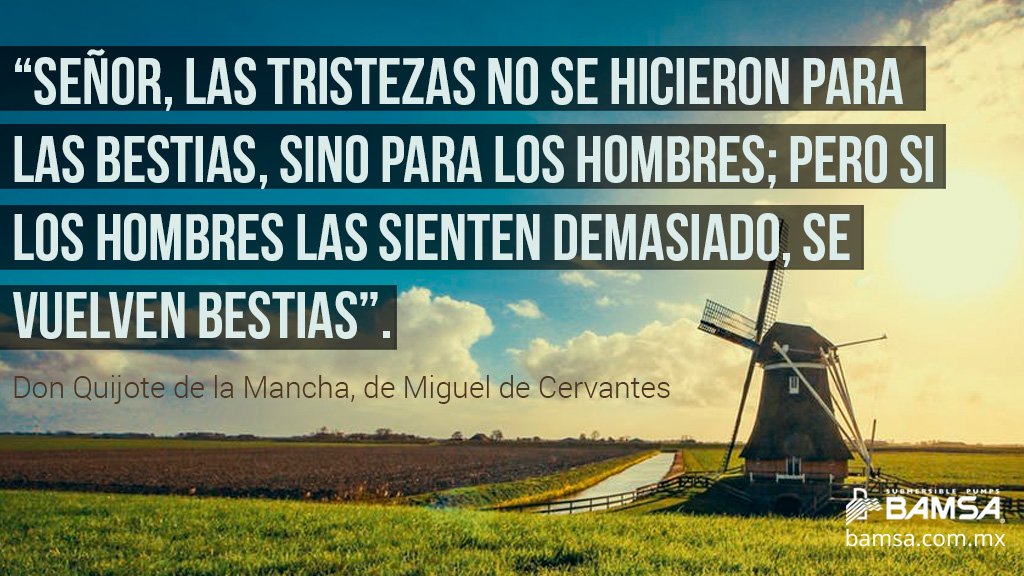 bamsamex's tweet photo. ✍️La frase literaria de hoy!✍️ #Bamsa https://t.co/YLyOZOdfK0