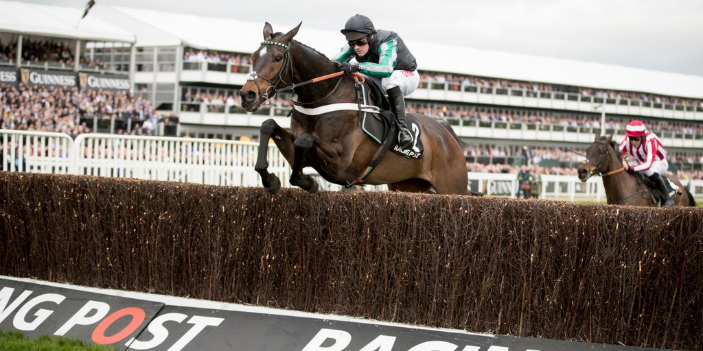 IREthoroughbred's tweet photo. 13 days to go to @tatts_ireland Derby Sale, June 27th & 28th. One of many highlights, Lot 462 is a Milan half-brother to ALTIOR (IRE) (pictured), 6 times a Gr1 winner inc. this year's Arkle Challenge Trophy Novice Chase #IrishStoreSales https://t.co/hSwhjrql6C