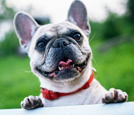 ❤ Dorset Libraries tweet media