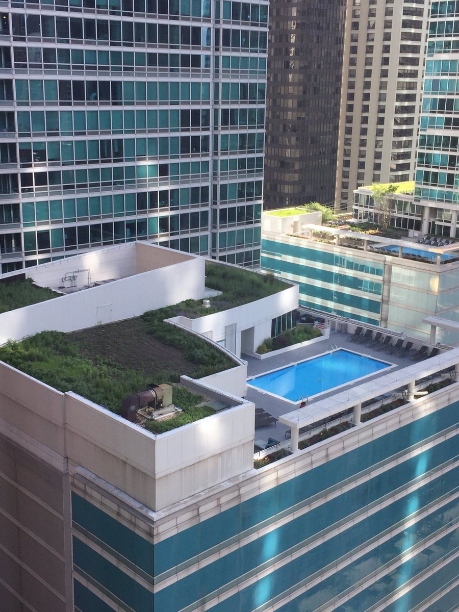 I always love staying in Chicago and seeing all the #greenroofs