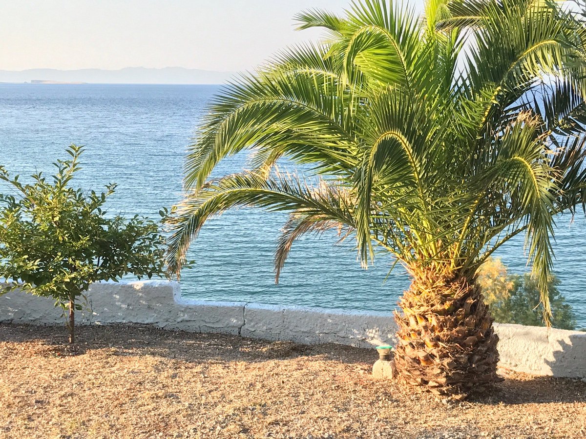 Tatil (@ George Paradise in Xampelia, Midilli) swarmapp.com/c/ewwDPZcV41T