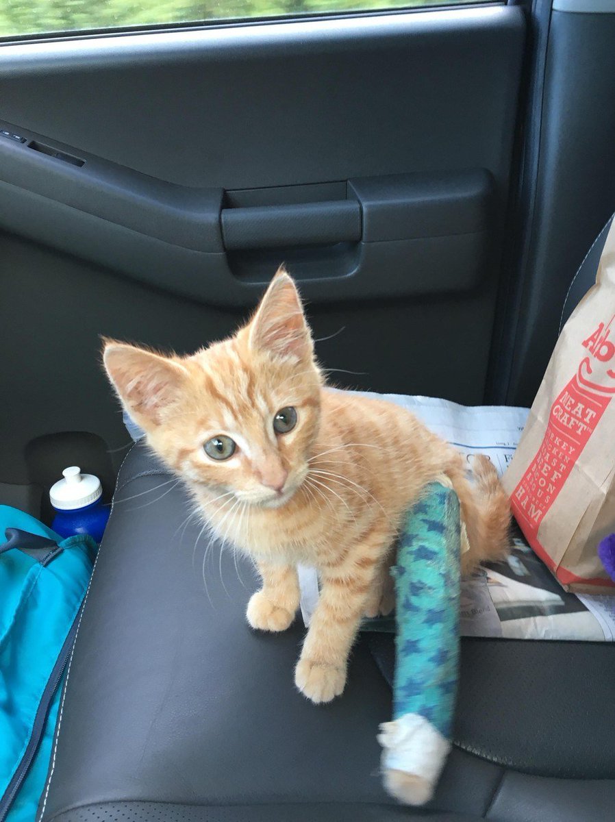 RedenSiemit's tweet image. Be part of the research! #TellUs_online about your accidental injuries and experiences! #gotquestions #iknowstuff