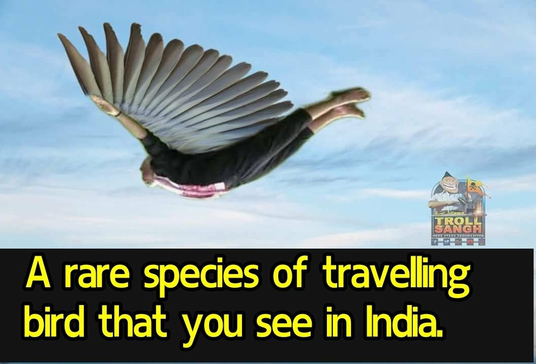 Subytweets's tweet image. A shocking new twist in the horrible #ModiAssasinationPlot . A UFO was identified. More details with Republic TV/Times Cow as instead of Intelligence Burueau they&apos;re investigating/judging &amp;amp; executing as #FitnessChallenge bombed &amp;amp; rained memes, sparking scares on Modi popularity!