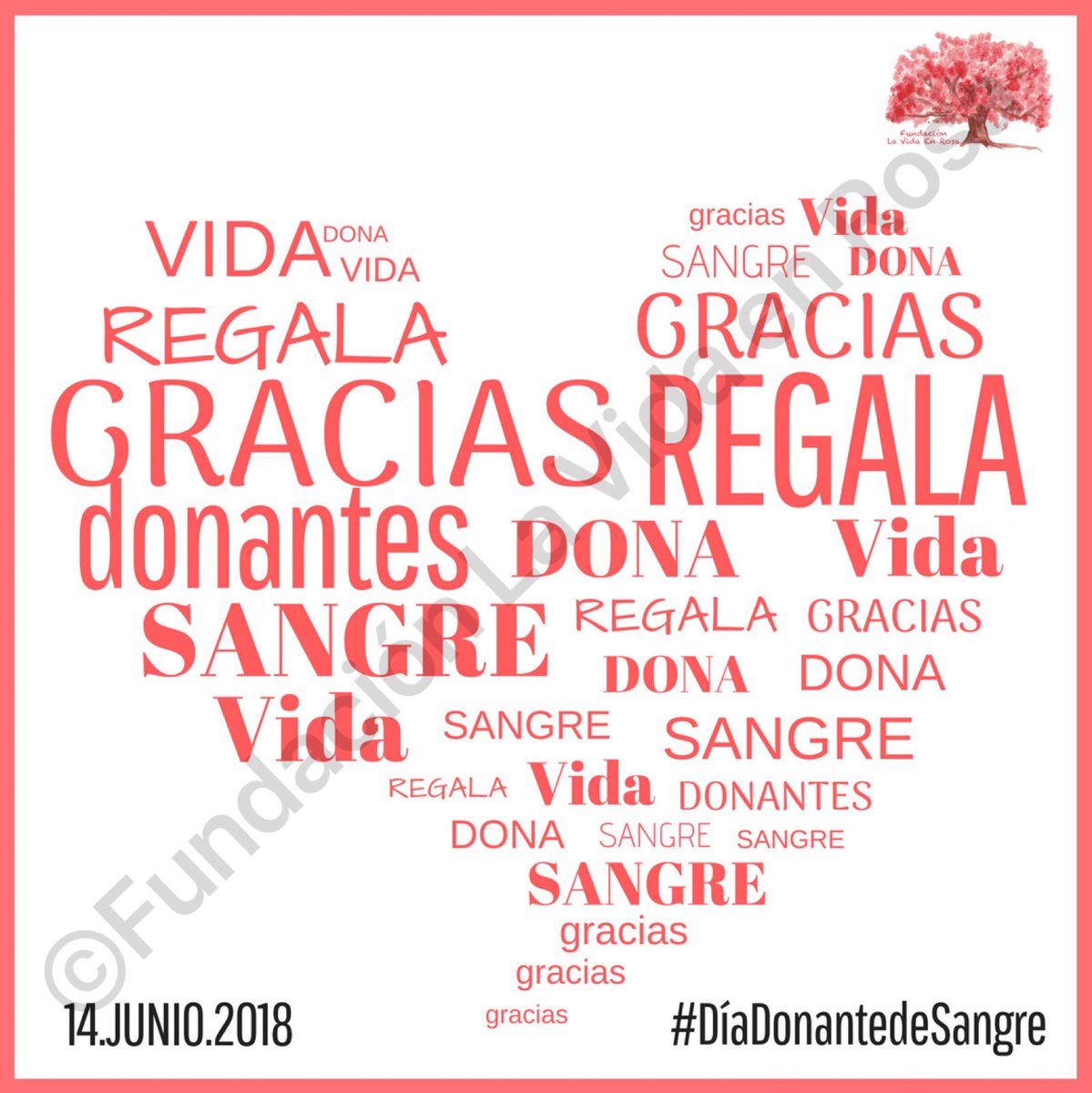 Hoy 14 de Junio se celebra el #DíaDonantedeSangre. Desde nuestra Fundación queremos concienciar de la importancia de este acto de generosidad que puede salvar muchas vidas. #DonaSangre #DonaVida