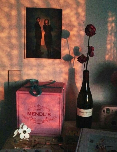 The sun is up, the sky is blue, it's beautiful and so are you 🌹 #thepeacockbride