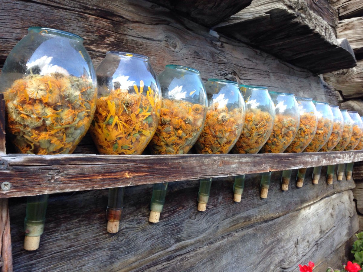 grappamarolo (@grappamarolo) on Twitter photo How does grappa aromatization work? Find out all the virtues of medicinal plants used in #grappa on #MaroloHeritage: bit.ly/grappaaromatiz… #grappamarolo #marolo #millamarolo #spirits #mixology
<a href="/drinksfusion/">Drinksfusion</a>
<a href="/AmathusDrinks/">Amathus</a>
<a href="/AmathusCity/">Amathus City</a>
<a href="/SipWatchTweet/">Rose R Perry, JD</a>
<a href="/AmathusChief/">amathuschief</a>
<a href="/RealWineGuru/">#Wine Guru🍷</a> How does grappa aromatization work? Find out all the virtues of medicinal plants used in #grappa on #MaroloHeritage: bit.ly/grappaaromatiz… #grappamarolo #marolo #millamarolo #spirits #mixology
<a href="/drinksfusion/">Drinksfusion</a>
<a href="/AmathusDrinks/">Amathus</a>
<a href="/AmathusCity/">Amathus City</a>
<a href="/SipWatchTweet/">Rose R Perry, JD</a>
<a href="/AmathusChief/">amathuschief</a>
<a href="/RealWineGuru/">#Wine Guru🍷</a>
