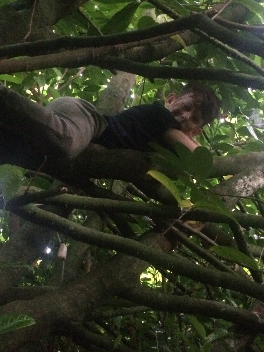 Yesterday we played ambush as the sun set and camouflaged ourselves in trees!!🌲