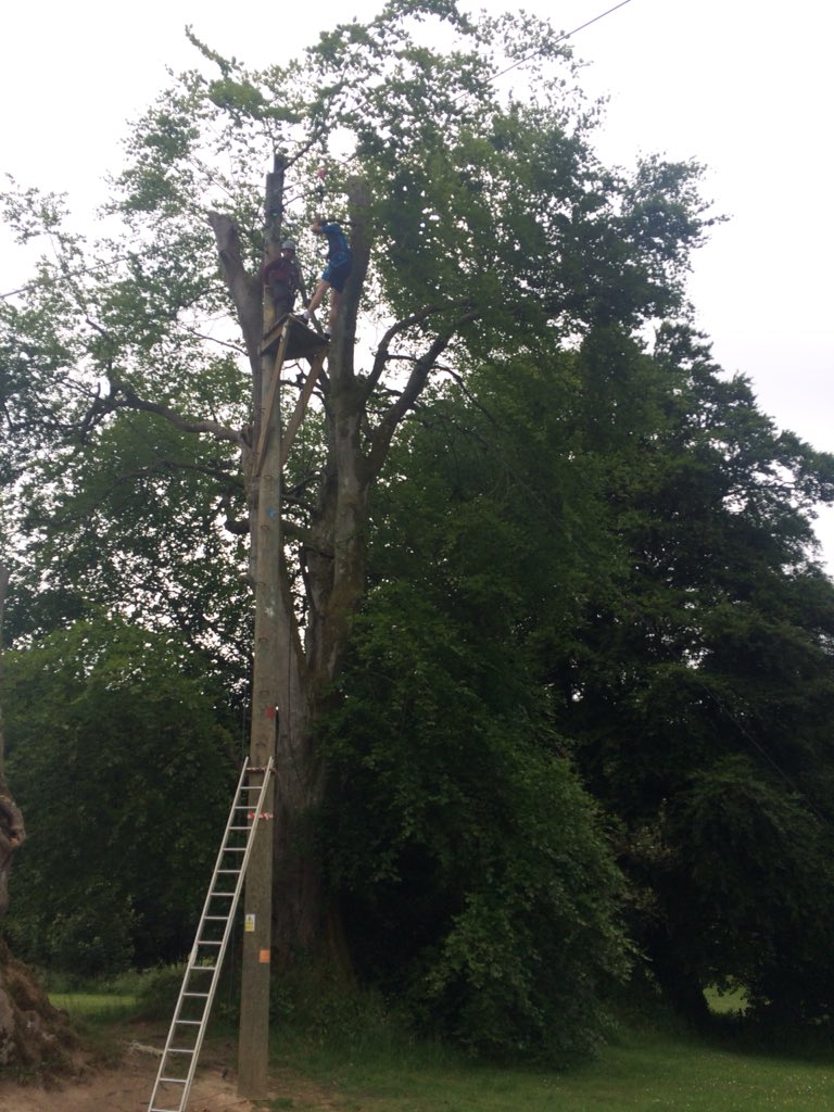 Year 6 tackling their fears in the high ropes and quad biking yesterday