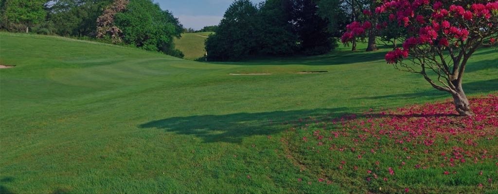 drysgol's tweet photo. The 9th green and 13th fairway at the fabulous Radyr Golf Course. You could soon be living less than a chip away #drysgolheights with views of the 18th everyday. https://t.co/iVyNHpinwj