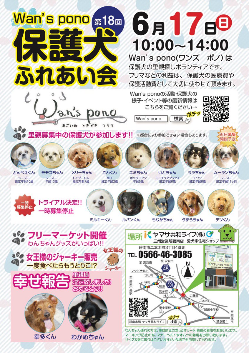 Wan S Pono בטוויטר 保護犬ふれあい会 6月17日 日 10時 14時 碧南市二本木町3 4 ヤマサ共和ライフ 三洲営業所碧南店 家族を待ってる子達に是非会いに来てください 譲渡会 保護犬 愛知県 ボランティア 里親募集 シーズー Mix犬 ポメラニアン T Wan S Pono בטוויטר 保護犬ふれあい会 6月17日 日 10時 14時 碧南市二本木町3 4 ヤマサ共和ライフ 三洲営業所碧南店 家族を待ってる子達に是非会いに来てください 譲渡会 保護犬 愛知県 ボランティア 里親募集 シーズー Mix犬 ポメラニアン T