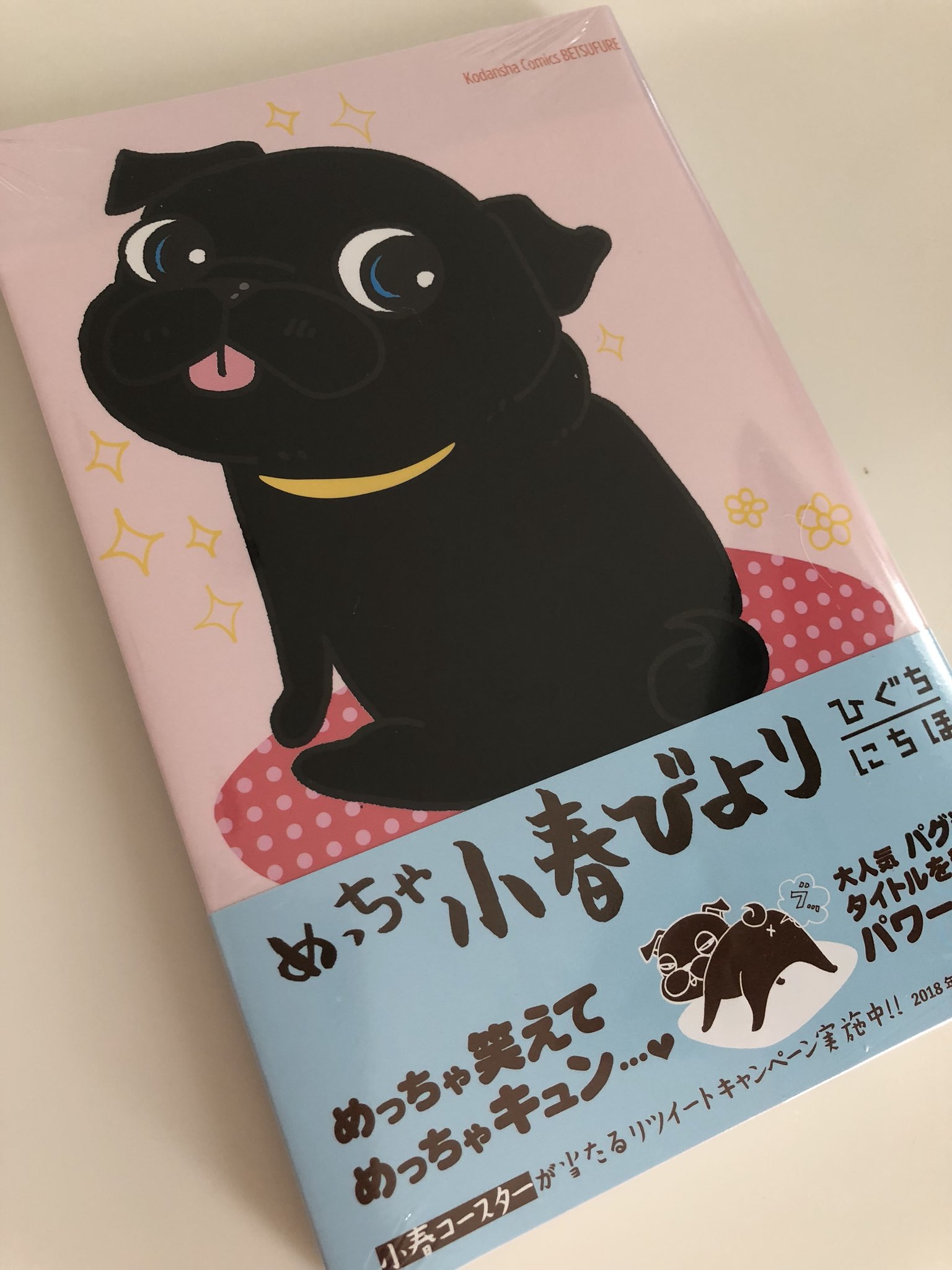 めっちゃ小春びより Twitter Search Twitter