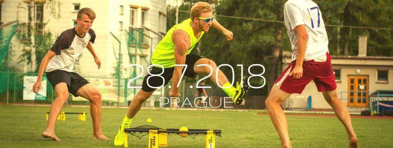 Czech Roundnet tweet media