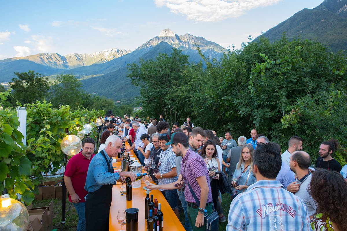 AlTorcoLosine's tweet photo. Aperitivino in vigna. 🍷🍇 🍾🥂17/08/2018 Losine (BS) #altorcol #losine #vallecamonica #vino #vigneto #visitlakeiseo #madeinbrescia #inlombardia #produttori #cantine #degustazione #visitbrescia #valledeisegni #natura #ambiente #turismovallecamonica #consorziovinivallecamonica https://t.co/SxSMUacPlH
