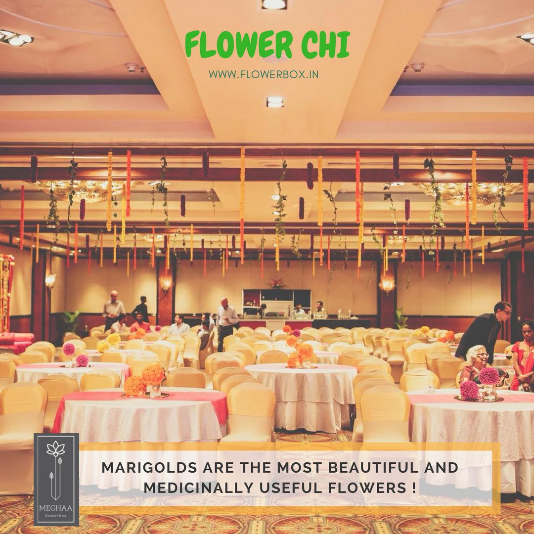meghaaflowerbox's tweet photo. Marigolds are the most beautiful and medicinally useful flowers !#flowerchi #floralchi #roses #redroses #floralenergy #positivevibrations #flowers #floraltrends #floralhub #flowergram #meghaa #bangalore #floralenergy #spring #floralbloom #marigold #genda #calendula @VivantaHotels https://t.co/dznpbQXSQy