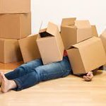 Need #packaging? then #fatcatremovals is the place! Prices from £1.99 for #boxes and £7.50 for #bubblewrap!  Check out all the products on our website ow.ly/WExC30khPe6  #packaging #boxes #colchester #moving #87RT