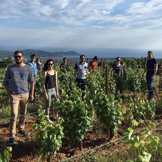 TheWineILove's tweet photo. Petit tour dans les vignes du @domainedelabegude avec l'équipe Twil #provence #vignes #twil #thewineilove #startup #dreamteam #seminaire #sud #vineyard #begude #bandol https://t.co/VdJi8tpWcP https://t.co/uVVgfBZY50