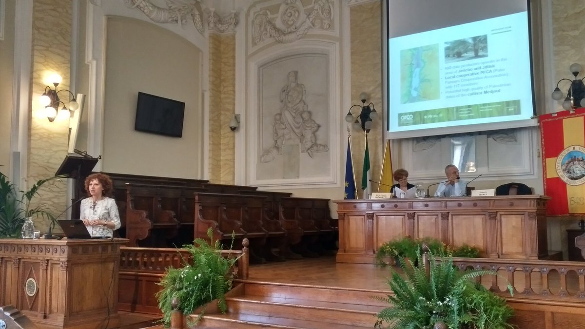 lab_arco's tweet photo. Now in #Messina at #ISDRS18 conference, Prof. Patrizia Pinelli presents our research on the sustainability of date palm cultivation in Jericho #foodcommodities #qualityassessment @isdrs @leoborsacchi https://t.co/WZwVPwYOtD