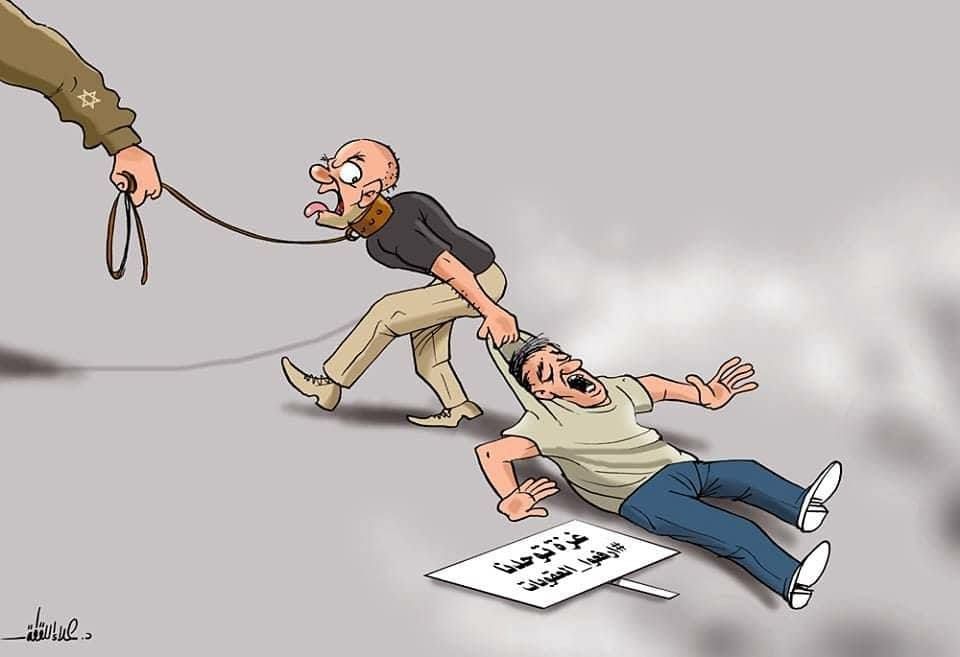 DrHamami's tweet photo. https://t.co/ImnIA2mGTT