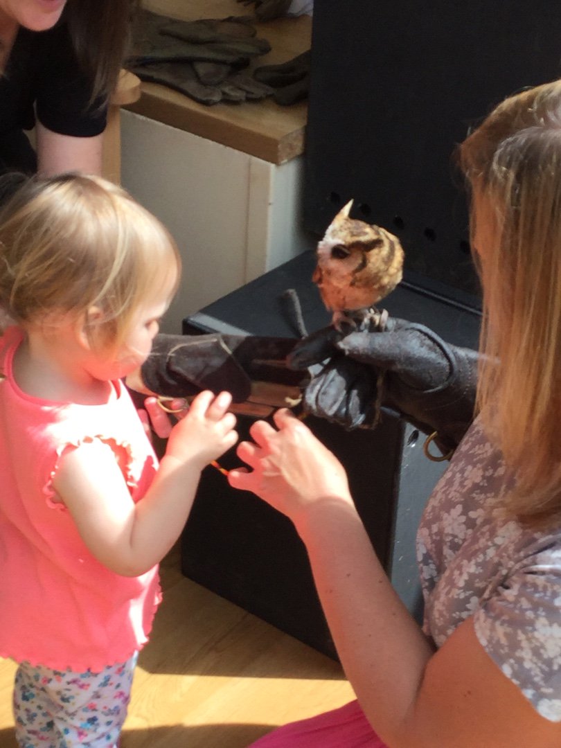 WarberriesNH's tweet photo. had a lovely visit from this fellow and some of his friends during our intergenerational session this week. Children, residents and staff loved them! 
#intergenerational
#owl
#southhamshawksandowls https://t.co/EZxdqUDyOP