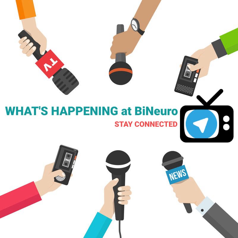 BiNeuro tweet media