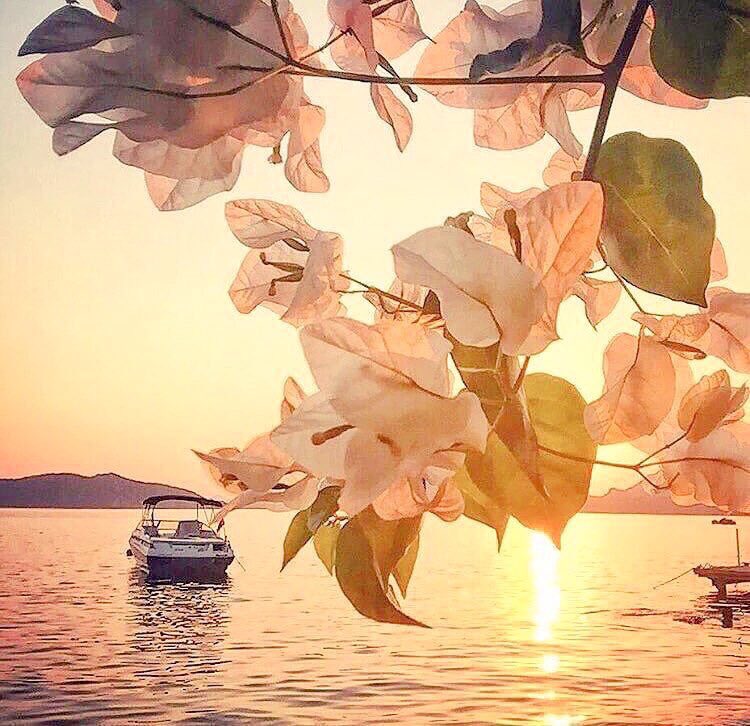 عبدالله (@abdollahrr22) on Twitter photo 