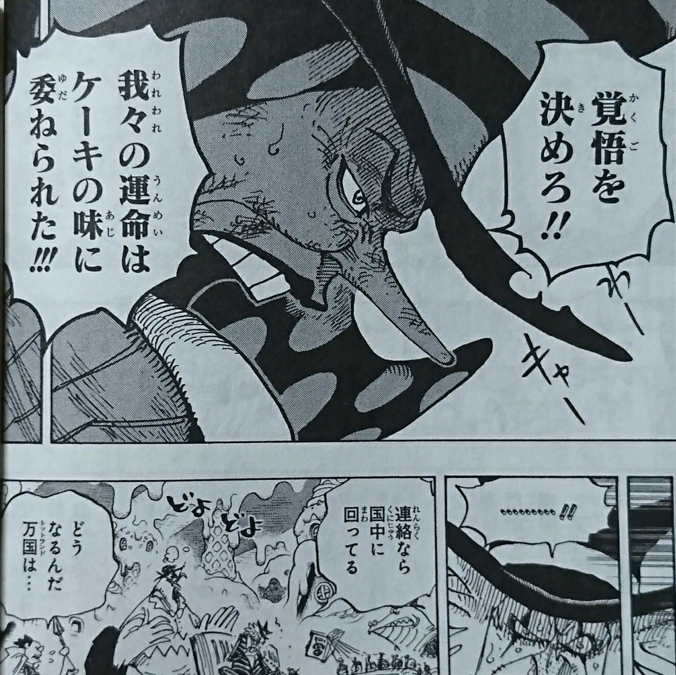 田中周 園芸部 読んだ本 新刊 ワンピース One Piece 巻 尾田栄一郎 対カタクリ戦他色々決着 長いのはともかく結構分かり難いシリーズだった 登場人物多過ぎ シャーロット兄弟はプリン以外カタクリとブリュレだけでよかっただろ