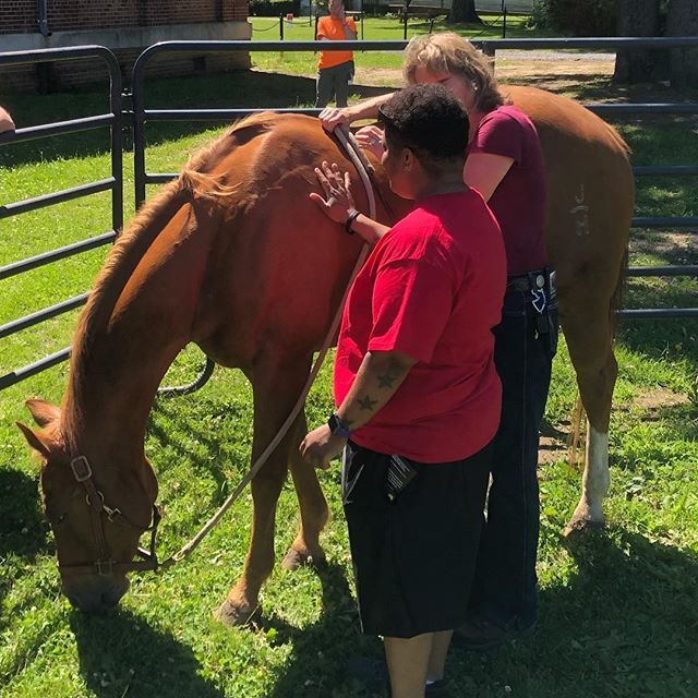 warrior_ranch's tweet photo. Why Horses? Because they are clear in their interactions without lying or manipulating. They do not judge or blame, for this reason just being around them can be immensely healing. #horse #horseinteraction #equinetherapy #mentalhealthawareness #reducestr… https://t.co/yL0dJ1ugwY https://t.co/Ejyr1eEoxa