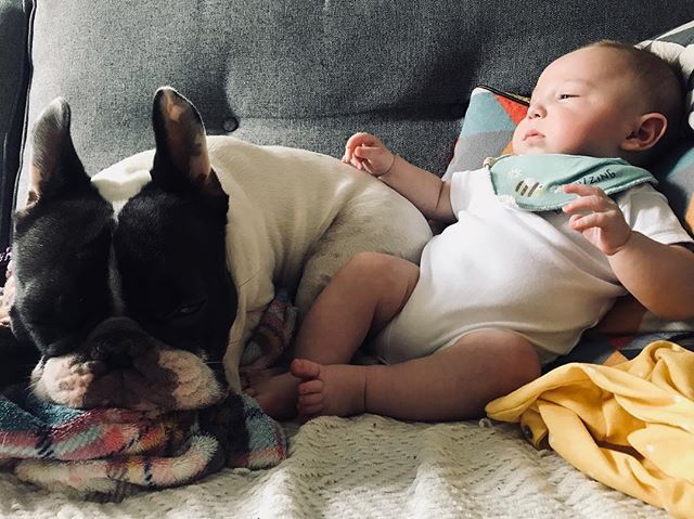 When your babysitter falls asleep on the job 🤔 #besties #dogandbaby #frenchbulldog ift.tt/2sWuZ5z