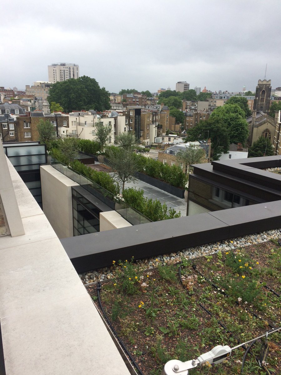 In Belgravia; harness work again today, with Tom Marsden accessing an exposed roof terrace by <a href="/BowlesWyer/">Bowles & Wyer</a> Special Projects Department. The green walls installed by TreeBox <a href="/verticalgrowers/">Treebox Ltd</a> are filling out nicely.