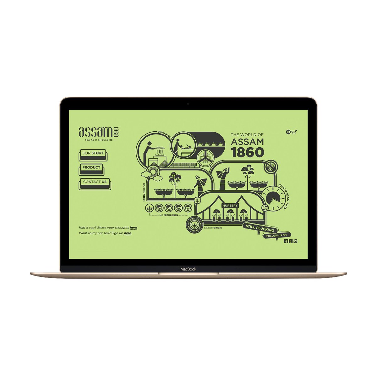 olivedesign_in's tweet photo. Infographics designed for Assam 1860's trendy and chic website.
.
.
.
#infographic #illustration #webdesign #websitedesign #graphics #graphicart #olivedesignindia #decadeofdesign #Oliveturns10 #creative #designer #designstudio #tea #assamtea https://t.co/zEYaRqnOBU